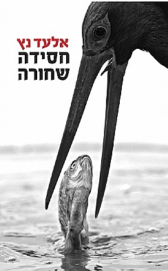 חסידה שחורה/ אלעד נץ (הגדל)